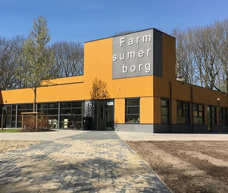 Noorderlicht Reclame Autobelettering